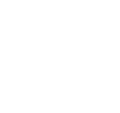 MEGA VISION